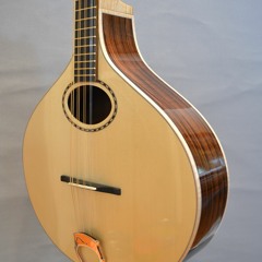 Engl. Spruce, pau ferro Ftop Bouz