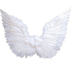 ApHattn - Wings