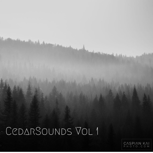CedarSounds Vol1