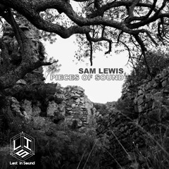 Sam Lewis - Pieces Of Sound (LostinSound.org Exclusive Mix)