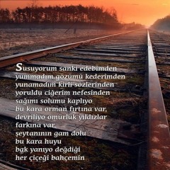 Melike Şahin - Kara Orman