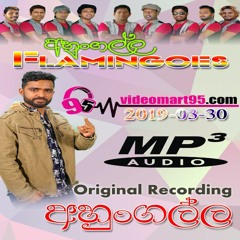 28 - PAYA A SADA - MANGALA DENEX