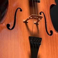 Strings without a beat - Diederik Idenburg & Lucas Stam