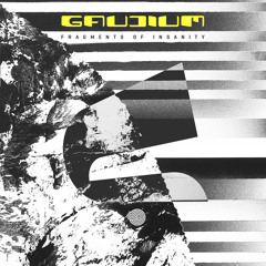 Gaudium - Fragments of Insanity (Original mix)- Out April 19th!
