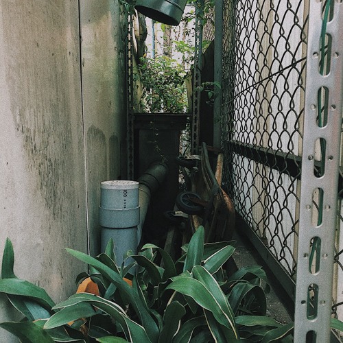 You Can't Back To Normal Anymore (prod. ynm0r1) [Ruff Mix]