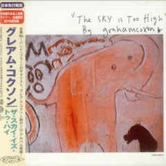 R U Lonely? - Graham Coxon (Cover).MP3