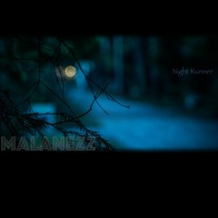 Night Runner