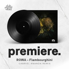 PREMIERE: ROWA - Flambourghini (Gabriel Ananda Remix) [Traum Schallplatten]