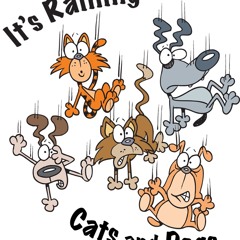 It's Raining Cats And Dogs - Preview