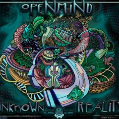 OpeNmiNd & Metaphyz  - Order Of Chaos(150 preview)