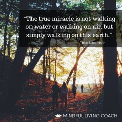 5 Min Body Scan Meditation