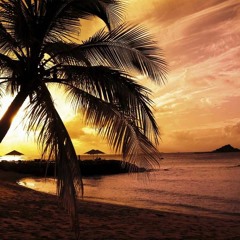 Lang & Yep - Paradise Culebra (Original Mix)