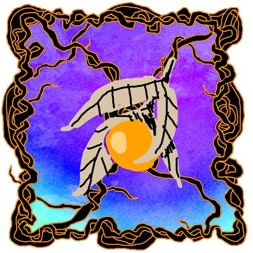 FRUITCAST #7 | schnuppo | one flew over schnuppo's nest