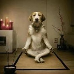 P3ssy - Trop Fort Pour Ton Corps ?