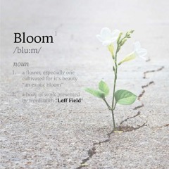 LEFF-FIELD - BACK SEAT