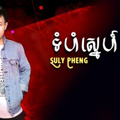 Suly Pheng - ទំហំស្នេហ៍ Tumhom Sne ( Official Lyrics Video)| 8D AUDIO 🎧