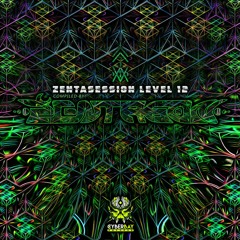 Theater Of The Illusion | VA Zentasession | Cyberbay Records