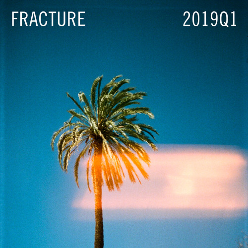 Fracture 2019Q1