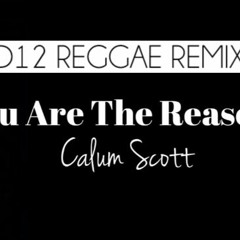 You Are The Reason (Reggae Remix)D12 REMIX