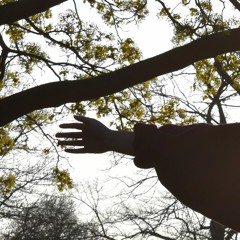 why'd you only call me when you're high?