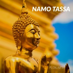 NAMO TASSA (Original Mix)