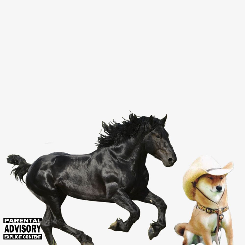 Lil Nas X – Old Town Road (feat. Billy Ray Cyrus) (Not Your Dope Remix)