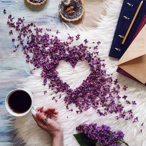 وعدتك أن لا أحبك..نزار قباني