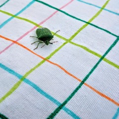 BLUE LIGHTS - JORJA SMITH (COVER) (mix by Johnny MF)