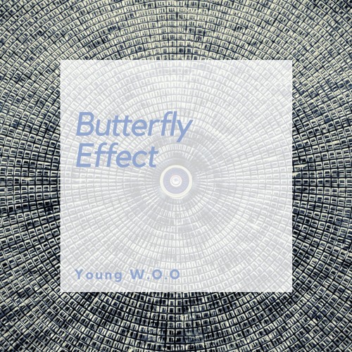 The Butterfy Effect