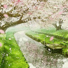 BLOSSOM