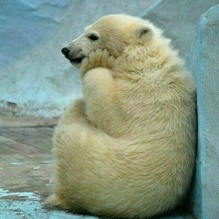 We Can Be Friends