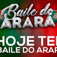 NINGUÉM PODE SABER vs BAILE DO ARARÁ (DJ'S BR & JAMES DO ARARÁ)