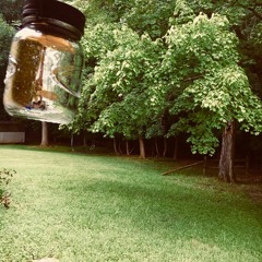 Seasons Within Seasons [single mix]