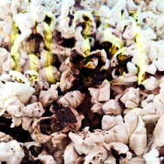 Burnt Popcorn vip