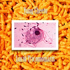 Yung Cheeto - Lucid Tricomoniasis