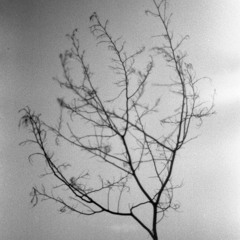 sobre tener pesadillas