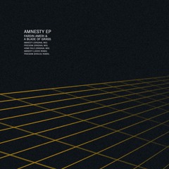 A Blade of Grass, Fardin Ameri - Amnesty (Stoilku Remix)