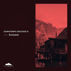 DHB Premiere: Agustin Vitale - Missing You (Original Mix)