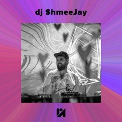 PA Mix 002 - dj ShmeeJay