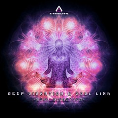 Deep Vibration & Soul Link - Soul Vibration
