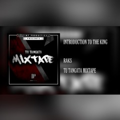 Introduction To The King