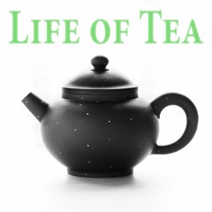 Zen And Science part 2