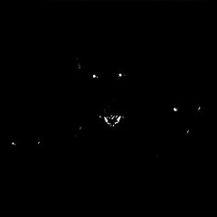 Gīn Seng - VICTIM OF REALITY