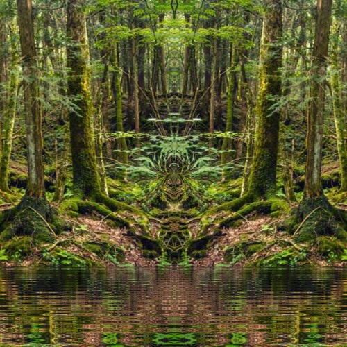 @roter Lichtbaum_06.04.19 (Forest-Set) [150]