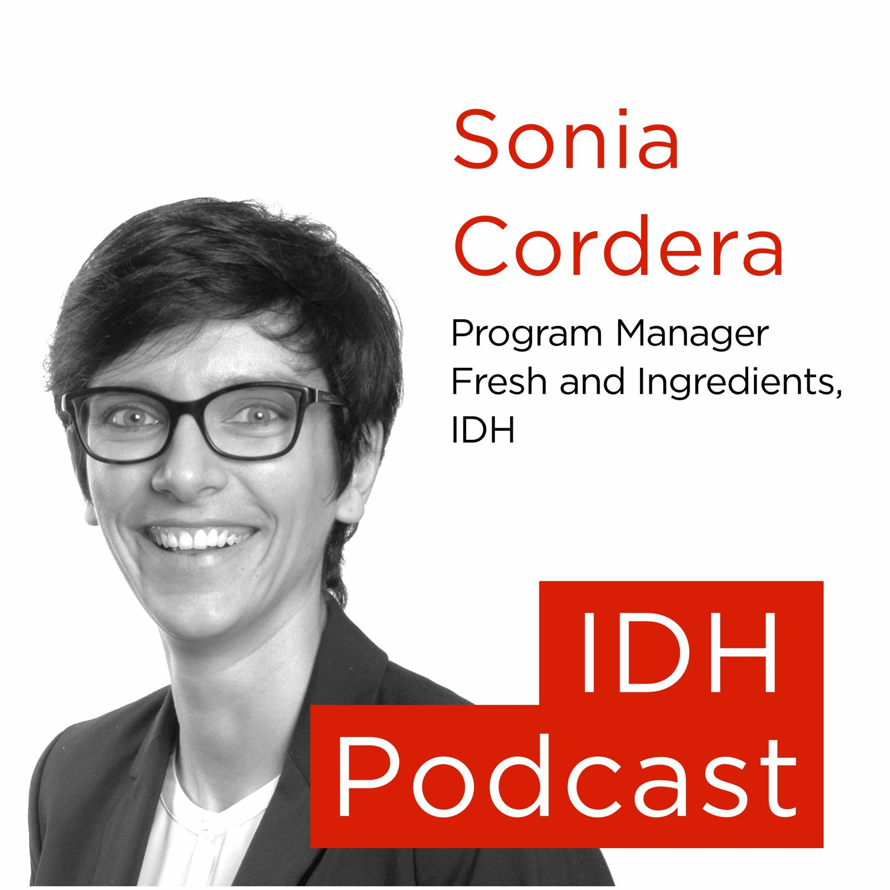 IDH Podcasts