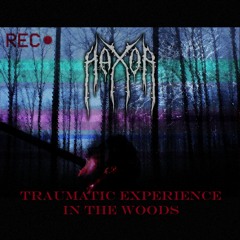 Hax0r! - Traumatic Experience In The Woods [Minatory]