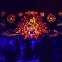 Dj Doc Free Earth festival 2018