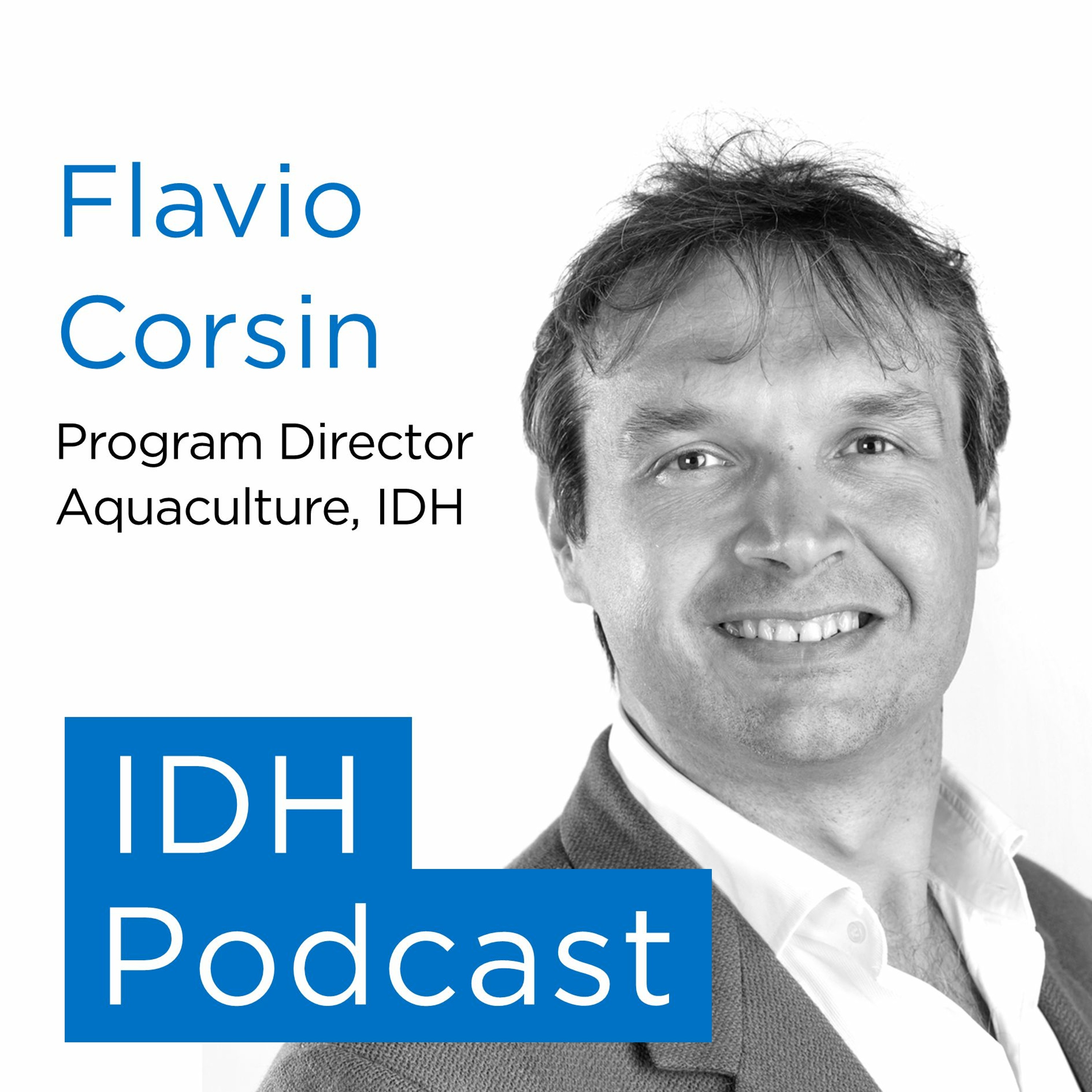IDH Podcasts