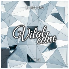 Soundstorm - Let It Go [Vital Release]