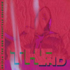 THE END FREESTYLE (SHLOHMO)